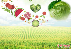 ũ��Ʒ���У���Ҫ����������