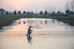 �з��ֳ�ɽ��պ����׵���ٶ��ũ��������ɫ��ҵ