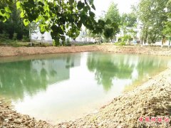 ���գ���Ӫ���ľ�׼���ƽ�ˮ������������̨��