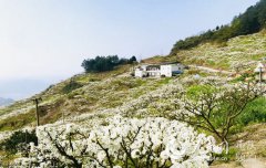 �������ݷ����������ι���