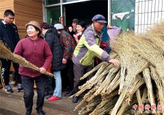 ۰�Ƿ�һ�壺�ڲ��뻷������200��ɨ���ʹ���