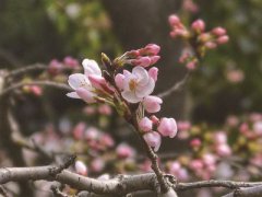 ���ִ�ӣ��������ϼ ѧУ����ӭ��