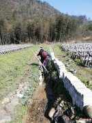 ���չ�أ���Ϫ����֯ʵʩѪ���没�ݵ㻷��������Ŀ