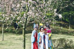 ��׽���˺������״�ȫ԰���⿪�� 20����ӣ�ڵ�������