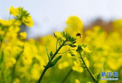 �Ϻ���Ұ�Ͳ˻���