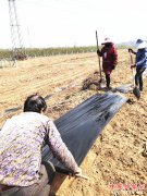 �������������������ٻ��壺������ҵ԰�ﴺ��æ