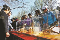 ��԰�Ե㡰��̬��������