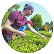 Ʒ���� ������ ��Ȼ��ʳ�������ⴺ����