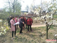 �������������ٻ��壺�������ר����������ͷ�������༼����ѵ