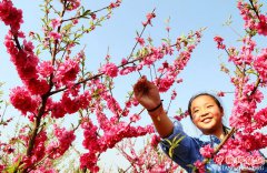 ����򣶫������Ʈ�㴺����