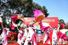 ���պ����ڽ��� Ⱥ�ڸ����ῴ��Ϸ ����������æ����