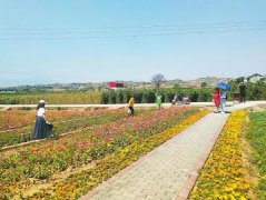 ÿ����������Ԫ���Ӵ��ο�Լǧ�� �Ļ���԰ũׯզ��ô��