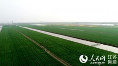 2018�꽭�պ�����ʳ����ȫ�̻�е���ʳ�98%