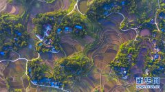 ���������ƽ��Ķ���� ���������뻭��