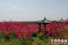 ���գ���ׯ���˴�չ���׽���Ȼ�����Ҽ��硱���λ