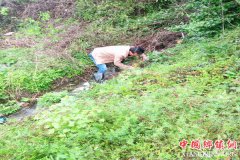 ������Ϫ��ȫ��������� �Ϸ�Ѫ���没����