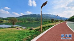 ����ͭ���������ֵ������ �̵����໨����