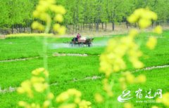 ������Ǩ����䴺�ܱ�����