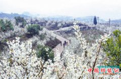 �������һ����һ��ȥ������ɽ��ˮ������