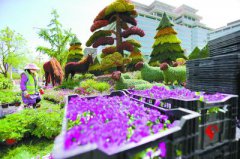 ���ǻ��Ž���ϲӭʢ�� 24����27������ҹ������ȫ��