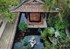 �ڽ������������� ����һƬ���׵�����԰��