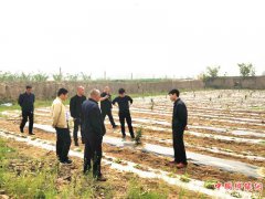 ��������������������կ�壺�ٿ�������ɢ�����ٹ����Խӻ�