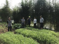 ���ݺϽ��ط����򣺡��ľٴ롱�ӿ�������ֽ���