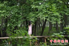 ���ϹŴ����续