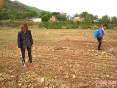 ��������������������̶�壺ƶ����Ⱥ��Ϊ������ҵ԰�Ļ�������ũҩ