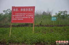 �Ĵ�����������һ��С��ҩһ���ֳ�3000��Ԫ���ҵ