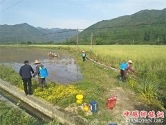 ���գ���Ϫ�����־������ô������ݹ���