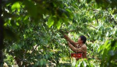 �޳�ӣ�Ҳ�ժæ