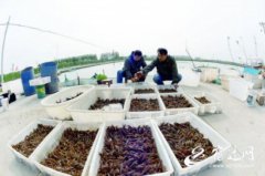 ��Ǩ���飺��Ϻ���� ϲ�����