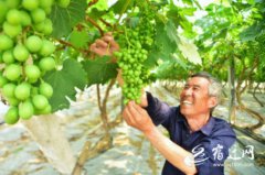 ��Ǩ���飺����԰���η���