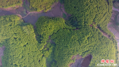 �Ĵ��˱������������ɻ���ҩ Ϊ�������