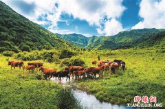 ��ɽ��ˮ ����֮��