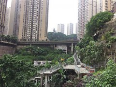 ����ݿ���԰����ħ��·