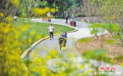 �������߲���Ͷ��