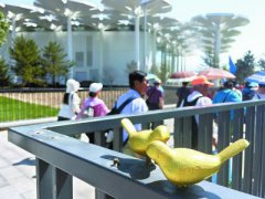 ������԰���ϰ���С�����񡱱�����ʣ9ֻ