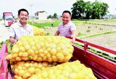 ��ƽ����������Ķ��357����