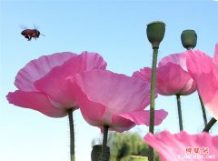 ۰�ǣ����˶�ʡ������ˡ�װ��û���