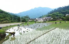 ����ʯ�Ŵ壺��֯־Ը�߰���ƶ��������