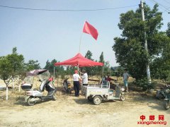 �������� ���ղ�����ƶ����