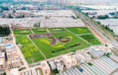 ���Ͻ������������ֻ��������