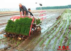 ۰�ǣ�������һ���ո��ֻ�е������������