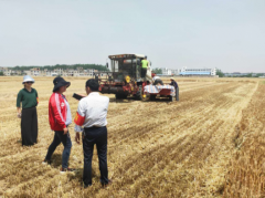 �ºӴ��ƶ�����������ոѽ���