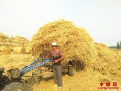 �����ŵ�塰�ո����˶ӡ�