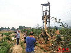 ��������������������կ�壺�ڰ�����λ�İ���� ��ȹ���˳���ƽ�