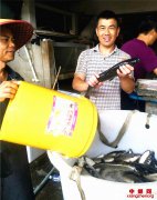 ۰�ǣ������ɸ���������Ϊ��ר���Ϸ�����