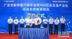 �㰲ǣ����ϣ�����ʹ��������300��ͷ������ҵ����Ŀ